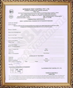 MB Certificate-min